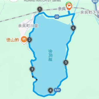 アジサイの余呉湖一周と北国街道を歩く〜滋賀県ウォーキング協会例会