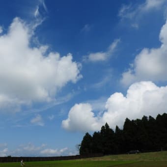 夏の日の思い出（お出掛け）