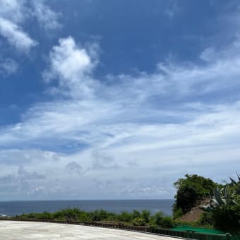 遠く離れても、沖縄を想う従姉妹♡
