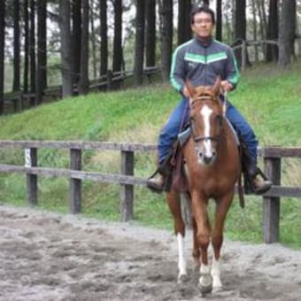 馬について