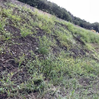 危険な切土・盛土規制は 待ったなし