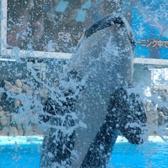 名古屋港水族館