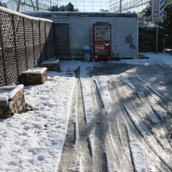 雪が綺麗です