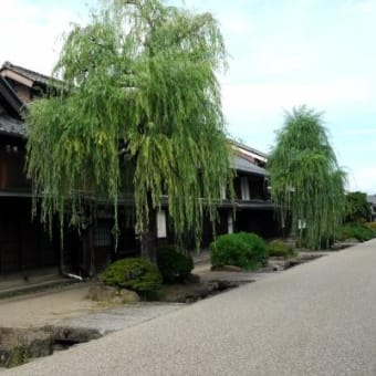 2024年 8月22日(木)の「海野宿・信濃国分寺・上田宿・上田城跡」(3)