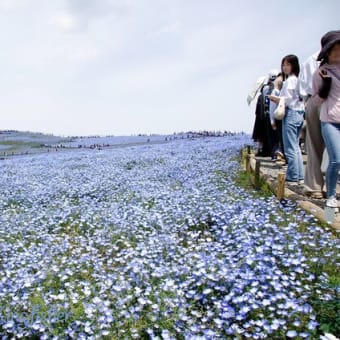 5月5日出かけることに
