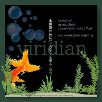 ■挿絵俳句629「金魚藻の色にビリジアンを選る」(『暁闇』2023)(鎌田透次)