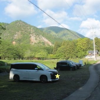 出遅れても何かしら…　藤原岳 （ 孫太尾根で草木まで ）