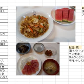 2023.08.06 １日の食事