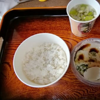 とろろ芋と麦飯を食べました。