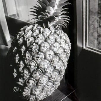 第４６回　モノクロ単写真の部