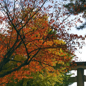 高台寺