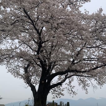 地震