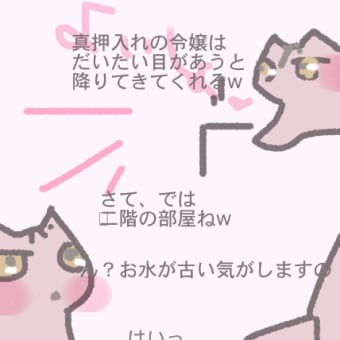 真押入れの令嬢は