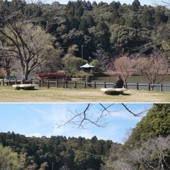 春を思わせる陽気です（定光寺など）　１