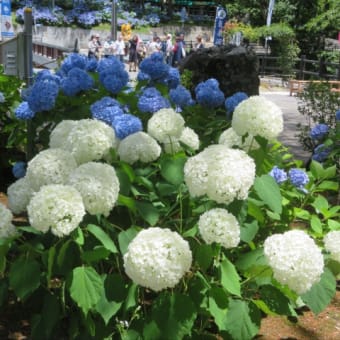 東北ツーリング7 岩手県浄土ケ浜～震災遺構～龍泉洞へ