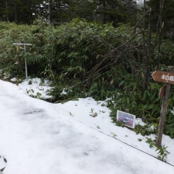 上越山旅　2017晩秋　　3.草津白根山　その1