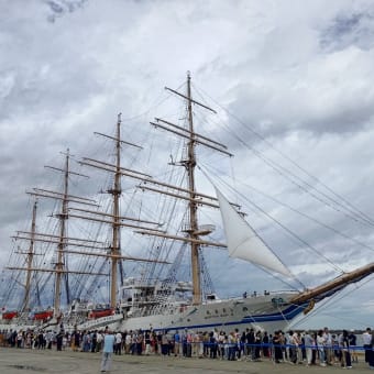 帆船「日本丸」船内一般公開へ⛵