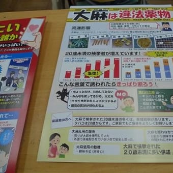 6年　薬物乱用防止、ネットの危険について知る