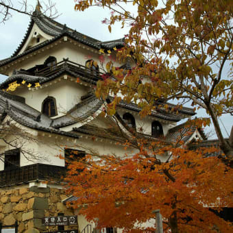 彦根城（滋賀県）　其の2　（2011年12月06日　火　薄晴　EOS5D EF24-105mmF4L IS）