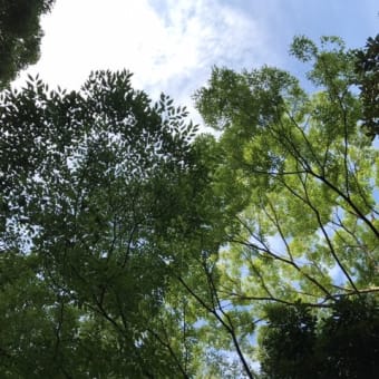 5月のお知らせ