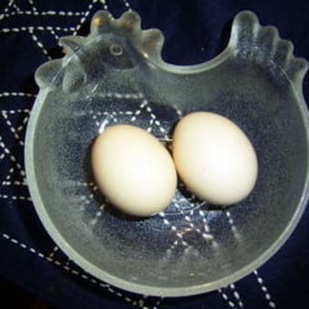 【食】烏骨鶏（うこっけい）の卵