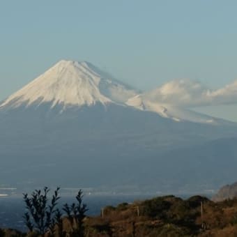 ２０１９、大晦日は、伊豆で過ごしました。