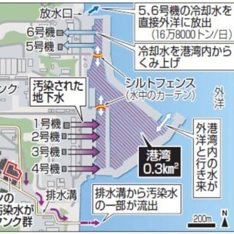 厚顔無恥の国際公約