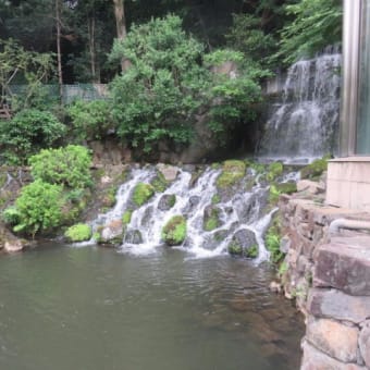 2017年6月27日　火曜日　「椿山荘」②