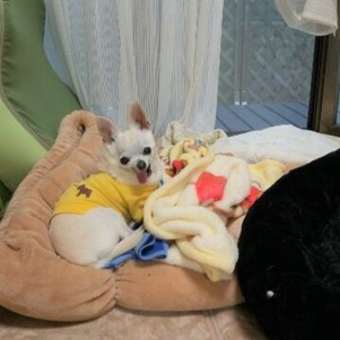 ごろごろ