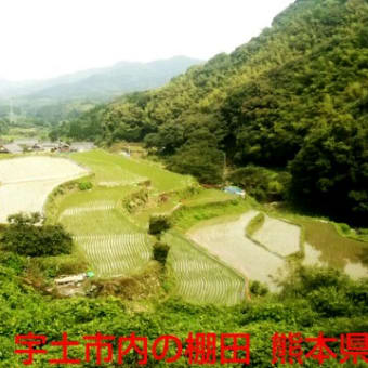 宇城市内の無名棚田 in 熊本
