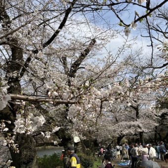 井の頭公園