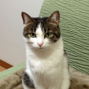 ラミーより、ありがとうございました。