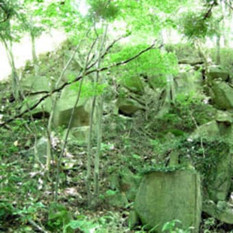 舞鶴城の別名をもつ三春城2（三春町）