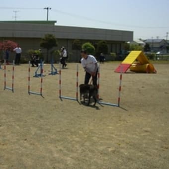 交流会