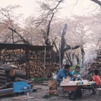 花見時の便利なグッズ