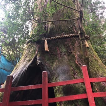 箱根の温泉へ