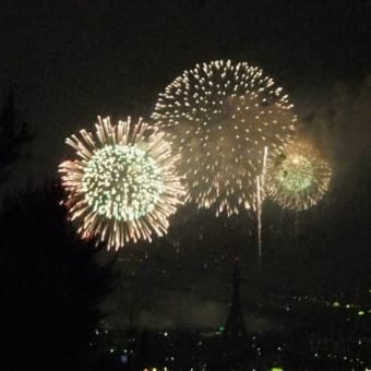 PL花火大会　岩湧山中腹からの写真2010年8月1日