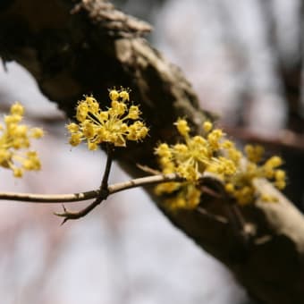画像一覧 東京教組 東京都公立学校教職員組合