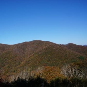 超秋晴れの池の段登山（●＾o＾●）