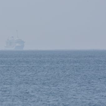 クァンタム・オブ・ザ・シーズ！広島初入港！！