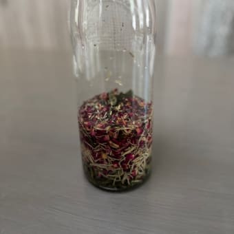 メディカルハーブコース開校しました☆