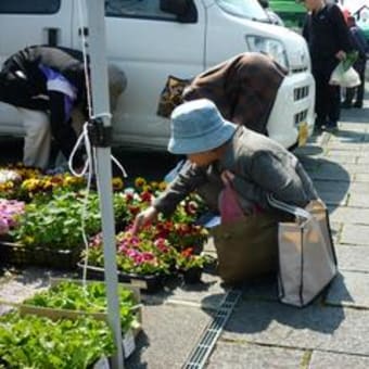 「えさし蔵まち水曜市」始まりました