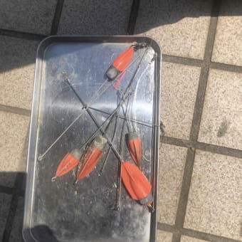 Swim開始