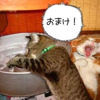 やばいぞ！桜がさいてまうし～、、、