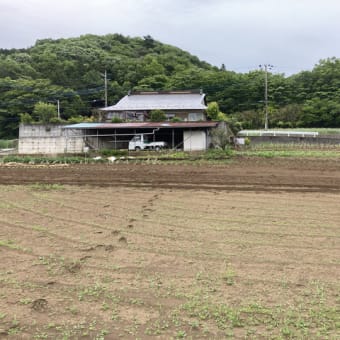 畑が2300坪に拡大