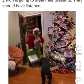 Who Stole Christmas?
