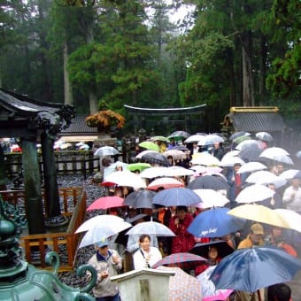 雨の行楽