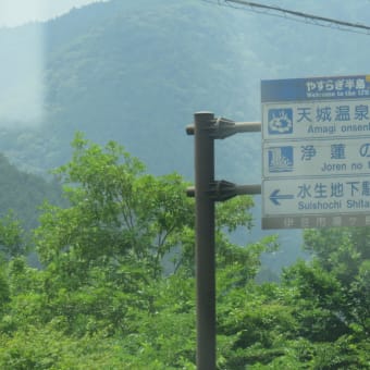 2016年7月20日　水曜日　「天城越え　浄蓮の滝」