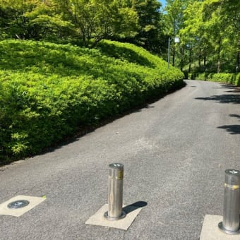 5月の公園、新緑の晴天がベストだった。