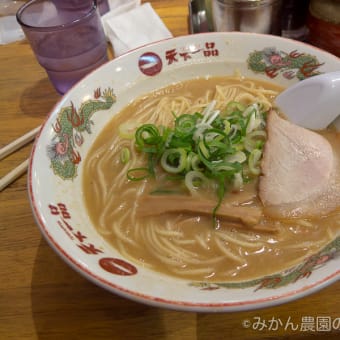 京都府京都市・天下一品 総本店